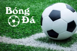 Hướng Dẫn Xác Định Bóng Trong Cuộc Và Bóng Ngoài Cuộc Chuẩn Nhất