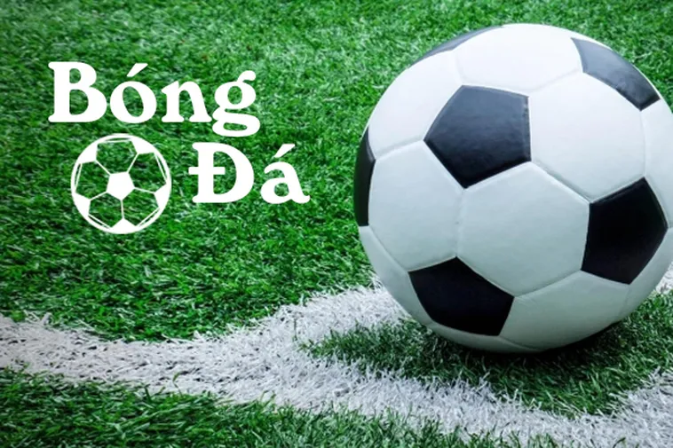 Hướng Dẫn Xác Định Bóng Trong Cuộc Và Bóng Ngoài Cuộc Chuẩn Nhất