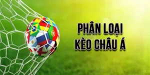 Hướng Dẫn Đọc Kèo Châu Á Tại BongDaLu Chi Tiết Nhất