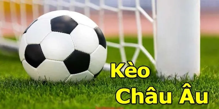 Kinh Nghiệm Soi Kèo Châu Âu Tại BongDaLu Chuẩn Xác Nhất