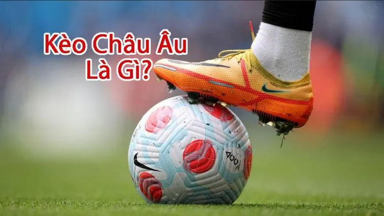 Kinh Nghiệm Soi Kèo Châu Âu Tại BongDaLu Chuẩn Xác Nhất