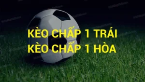 Kèo Chấp 1 Tại BongDaLu Hướng Dẫn Chi Tiết Và Chiến Thuật