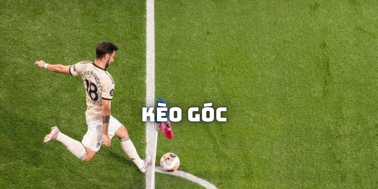 Kèo Phạt Góc Bóng Đá Tại BongDaLu Bí Quyết Soi Kèo Chuẩn