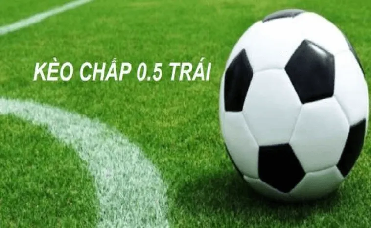 Tuyệt Chiêu Đánh Kèo Chấp 0.5 Tại BongDaLu Cực Kỳ Hiệu Quả