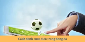 Hướng Dẫn Soi Kèo Xiên Trong Bóng Đá Tại BongDaLu Thắng Lớn